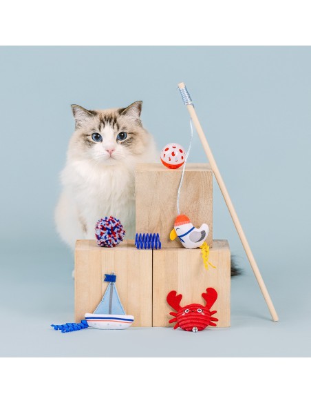 This Shore is Fun! 6pc Cat Toy Set