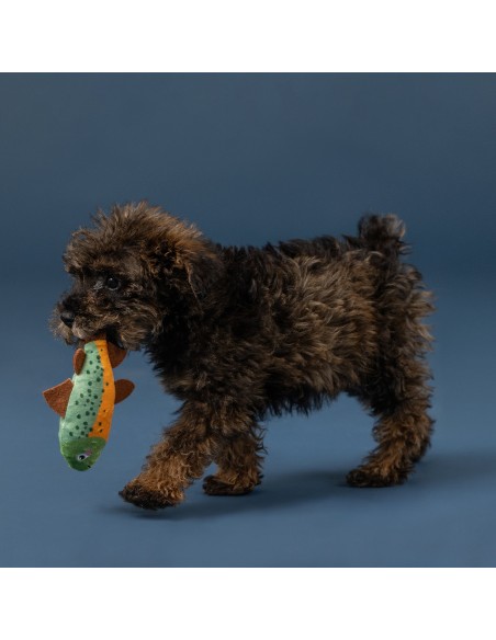 Wagsdale Lake Cruisers 3pc Mini Dog Toy Set