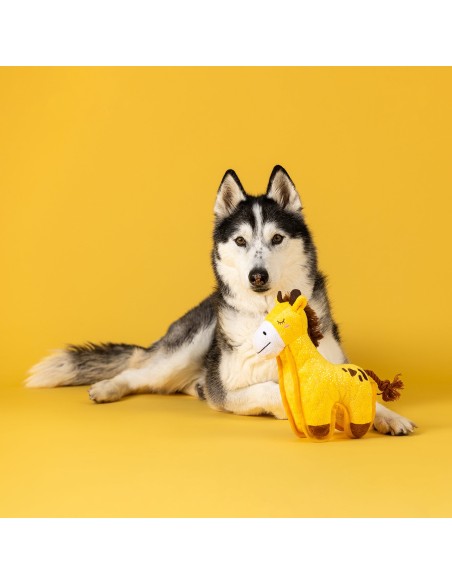Head Above the Rest Durable Plush Dog Toy