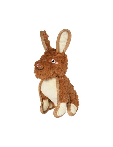 Ear To Be Hoppy Durable Plush Dog Toy