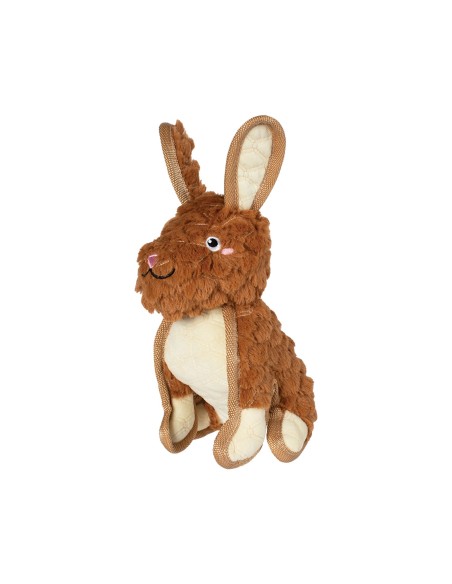 Ear To Be Hoppy Durable Plush Dog Toy