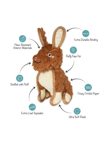 Ear To Be Hoppy Durable Plush Dog Toy