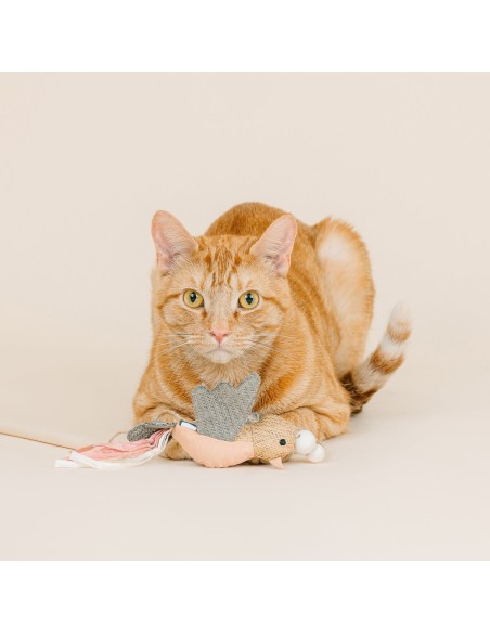Taking Flight Earth Friendly Teaser Cat Toy