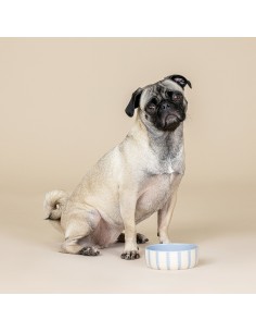 Rounded Scallop Powder Blue Small Dog Bowl 2