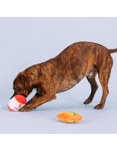 Nothin' But Noodles Interactive Toys - pack of 4