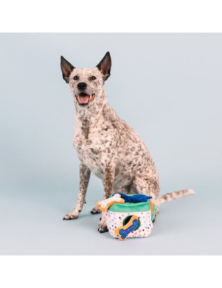 All About The Gifts Interactive Dog Toy - pack of 4