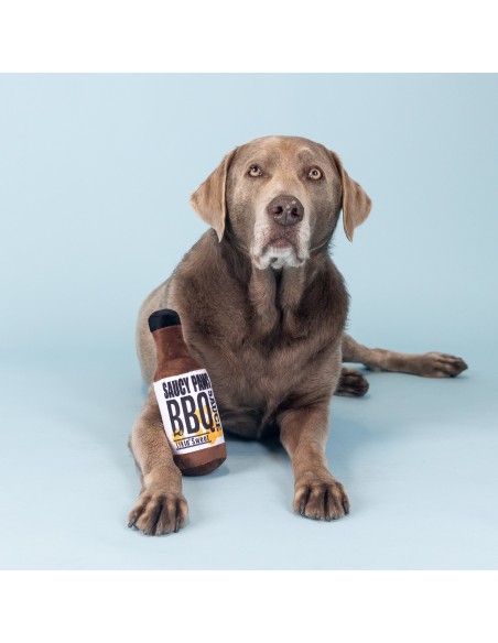 Saucy paws bbq sauce