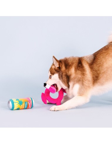 Pool Days, Sun Rays Dog Toys - pack of 4