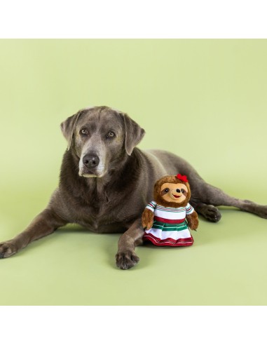 You Had Me At Hola! Plush Dog Toy - pack of 4