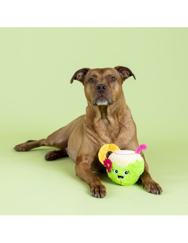 Coc-Nuts About You Plush Dog Toy