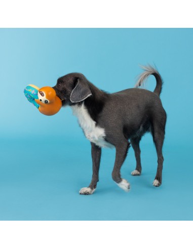 Donut Worry About A Thing Latex Dog Toy - pack of 4