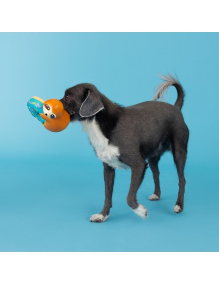 Donut Worry About A Thing Latex Dog Toy - pack of 4