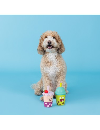 Best-Teas 2 Piece Latex Dog Toy - pack of 4