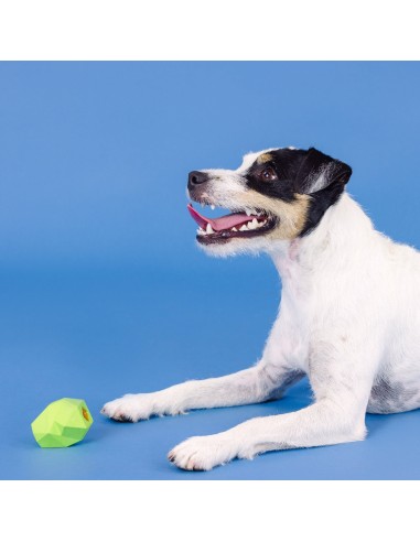 You're Adora-Ball Lime Rubber Dog Toy - pack of 4