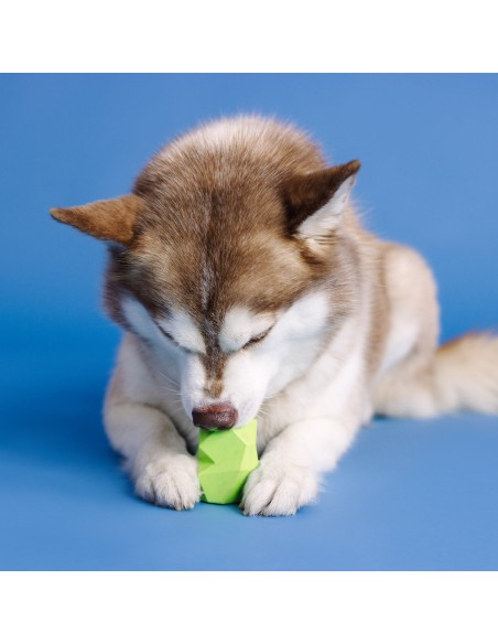 You're Adora-Ball Lime Rubber Dog Toy - pack of 4