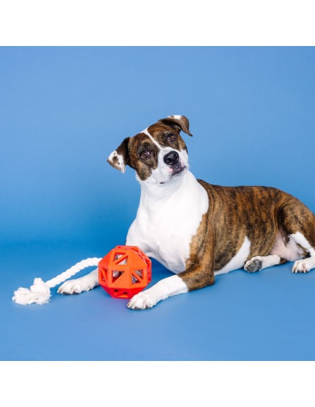 Pull My Way Red Rubber Dog Toy - pack of 4