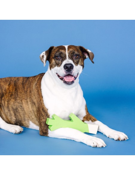 Stick With Me Lime/White Rubber Dog Toy - pack of 4