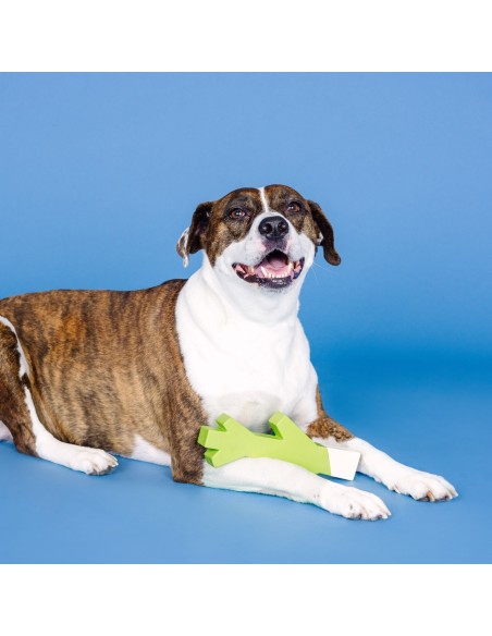 Stick With Me Lime/White Rubber Dog Toy - pack of 4