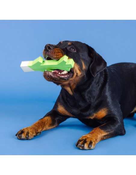 Stick With Me Lime/White Rubber Dog Toy - pack of 4