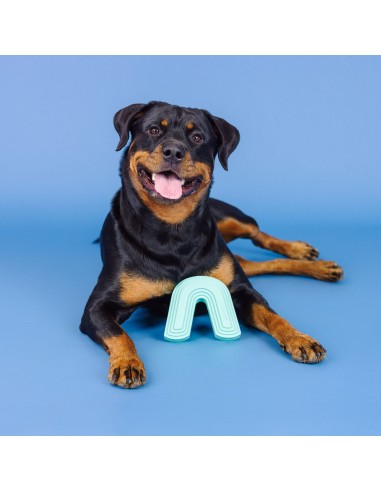 Color Me Happy Turquoise Rubber Dog Toy - pack of 4