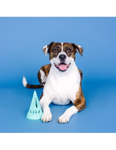 You Cone Do It! Turquoise Rubber Dog Toy - pack of 4