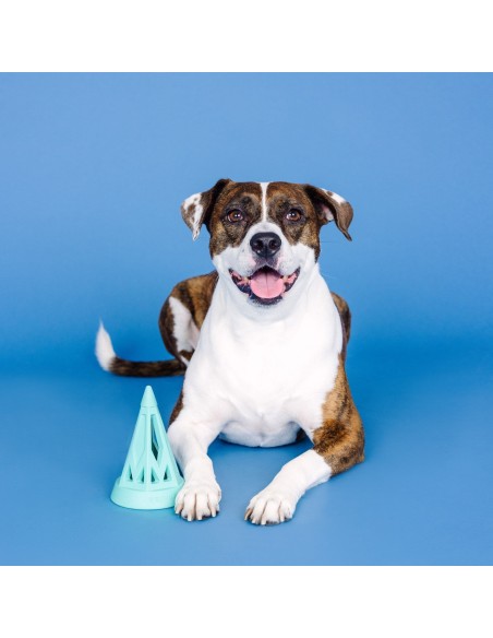 You Cone Do It! Turquoise Rubber Dog Toy - pack of 4