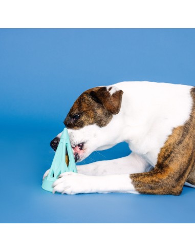 You Cone Do It! Turquoise Rubber Dog Toy - pack of 4