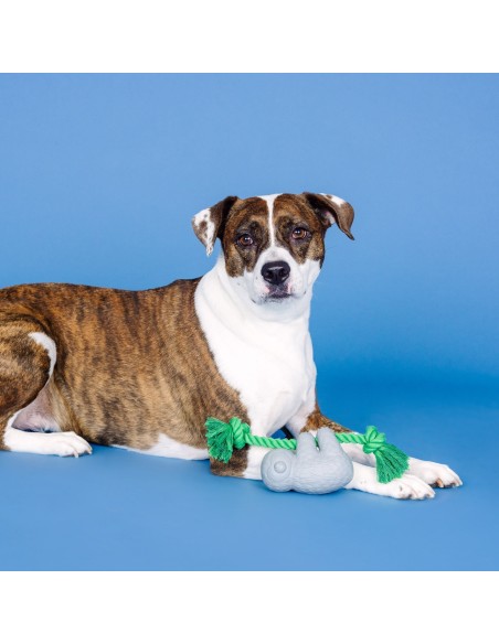 How's It Hangin'? Rubber Dog Toy - pack of 4