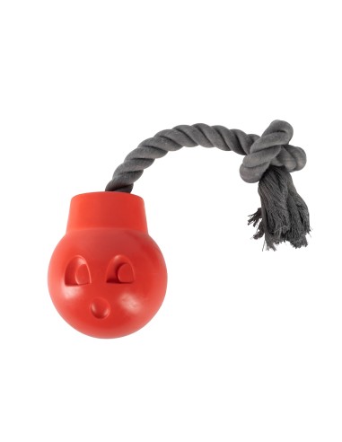 You Da Bomb Rubber Dog Toy - pack of 4