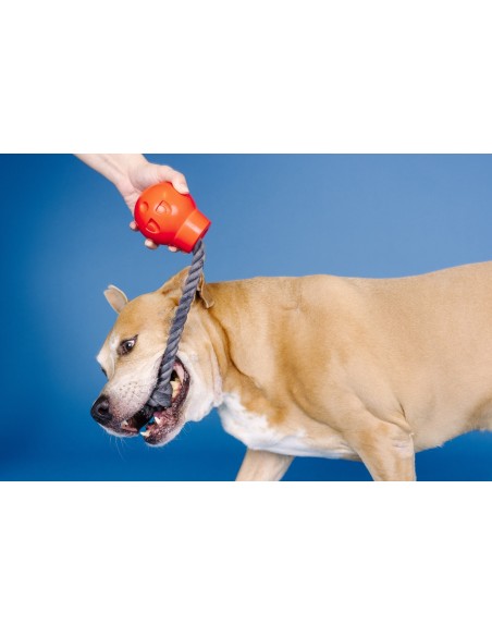 You Da Bomb Rubber Dog Toy - pack of 4