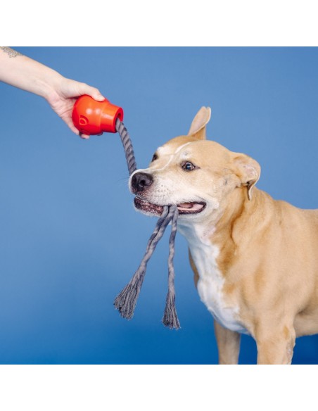 You Da Bomb Rubber Dog Toy - pack of 4