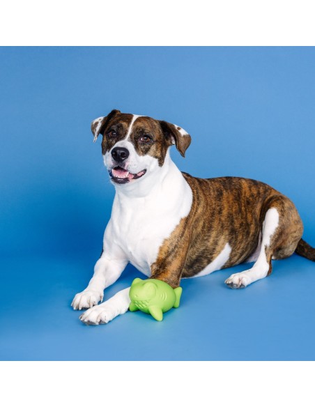 Catch Ya Later Lime Rubber Dog Toy - pack of 4
