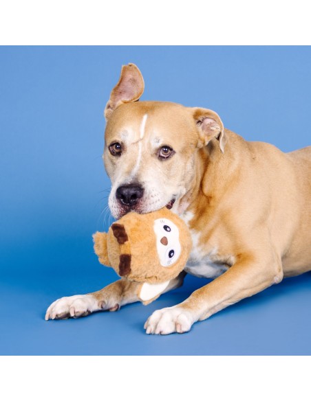 Don't Ruffle My Feathers Rubber/Plush Dog Toy - pack of 4