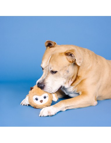 Don't Ruffle My Feathers Rubber/Plush Dog Toy - pack of 4