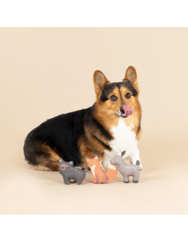 Forest Friends 3pc Mini Canvas Dog Toy Set