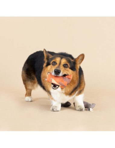 Forest Friends 3pc Mini Canvas Dog Toy Set