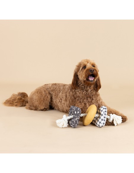 Roped In Canvas Dog Toy - pack of 4