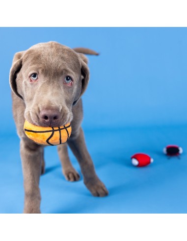 Set Basketpawler