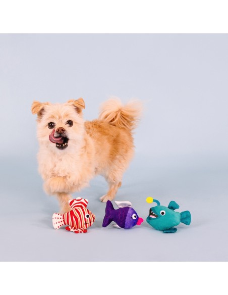 Any Fin Is Possible Mini Dog Toys - pack of 4