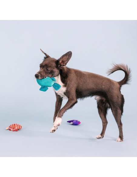 Any Fin Is Possible Mini Dog Toys - pack of 4