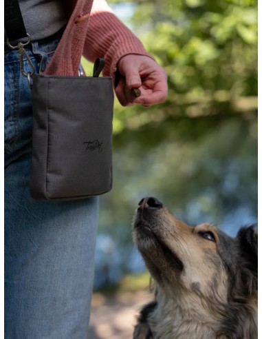 Snaxx treat bag – Berry