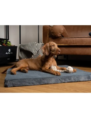 VitaMedog - Gris - 110x80/5cm