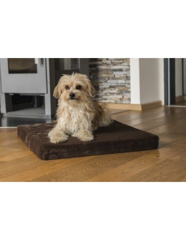 VitaMedog - Bruin - 50x35/5cm