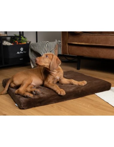 VitaMedog - Bruin - 50x35/5cm