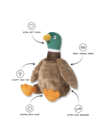 Wagsdale Just Ducky! Plush Dog Toy
