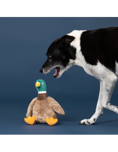 Wagsdale Just Ducky! Plush Dog Toy