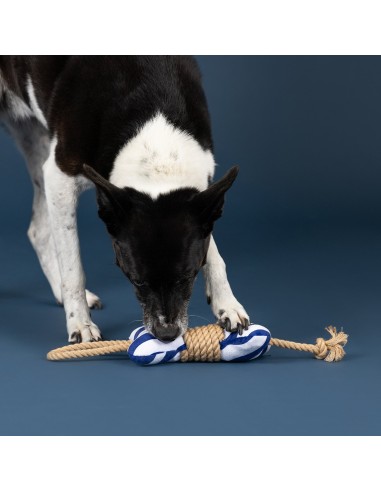 Wagsdale Feeling' Nauti Dog Toy
