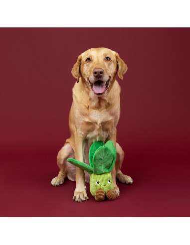 I'll Be Bok Plush Dog Toy