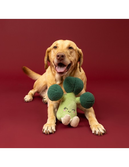 Brocc Star! Plush Dog Toy
