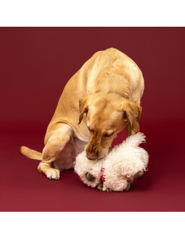Hair Today, Cuddle Tomorrow Plush Dog Toy